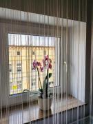 Top Szczecin Top Szczecin