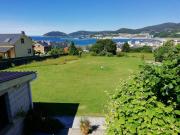 Top Viveiro