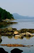 Top Heriot Bay