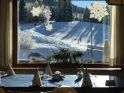 Top Belluno Top Belluno