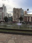 Top Mar del Plata