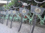 Top Marina di Pietrasanta