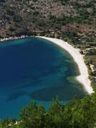 Top Avgonyma Top Avgonyma