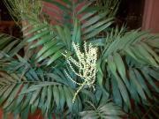 Top Barberino di Mugello