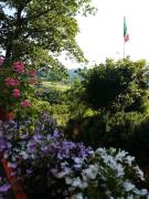 Top Montepetra