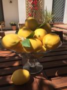 Top Castellammare di Stabia