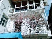 Top Korçë Top Korçë