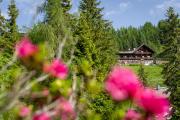 Top Berg im Drautal
