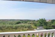 Top Umag