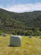 Top Roda de Isábena