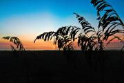 Top Saint Augustine Beach
