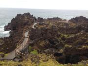 Top Madalena Top Madalena