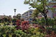 Appartamenti Residence Marcello-Piazza Torino-Lido di Jesolo