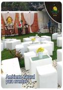 Top Pucallpa