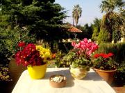 Top Áyios Adhrianós Top Áyios Adhrianós