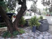 Apartments Ella Apartments Ella