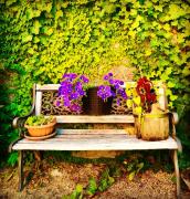 Top Castelnuovo del Garda