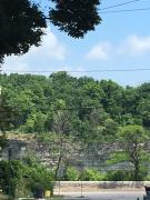 Top Niagara Falls