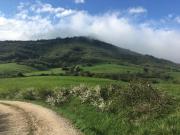 Top Viscarret-Guerendiáin