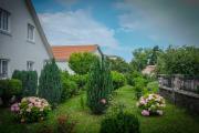 Top Cetinje
