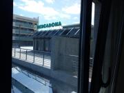 Top Icod de los Vinos