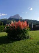 Top Selva di Val Gardena