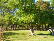 Top San Francisco del Monte de Oro