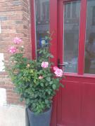 Top Nogent-sur-Seine