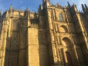 Top Malpartida de Plasencia