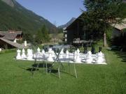 Top Cogne