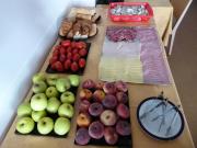 Top Sant Antoni de Calonge