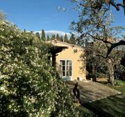 Top Settignano Top Settignano