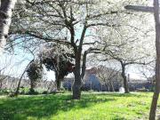 Top Olás de Villariño