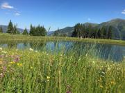 Top Saalbach Hinterglemm