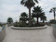 Top Coquimbo Top Coquimbo