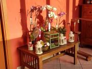 Top Sanremo