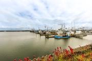 Top Westport
