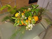 Top Ancient Epidavros Top Ancient Epidavros