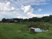 Domki Zacisze Domki Zacisze