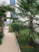 Top Champigny-sur-Marne