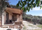 Top Torchiagina