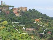 Top Camogli