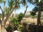 Top Sitia