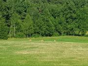 Top Maramö Top Maramö