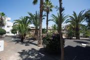 Top Costa Teguise