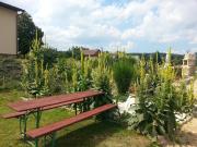 Top Trutnov