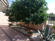 Top Novigrad Istria
