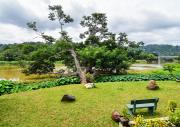 Thotupola Residence
