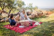Top Manyoni Private Game Reserve