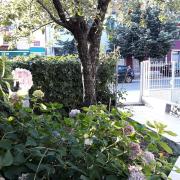 Top Cetinje